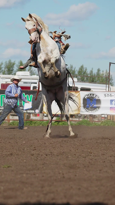 Super Rank Bronc Ride  #cowboys #rodeo