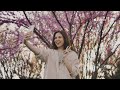 Keltie Knight's Cherry Blossom Magic Unveiled!