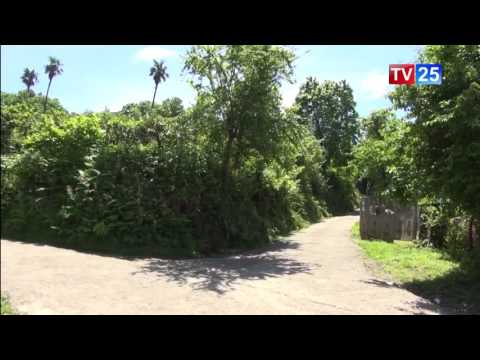 მახინჯაურში ორი გარდაცვლილი იპოვეს