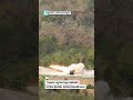 HIMARS Strike Power - Tropic Lightning Builds Allied Readiness #shorts #military #army