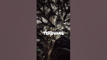 sadrah - forevenge #forrevenge #shortvideo #liriklagu #shots #shorts