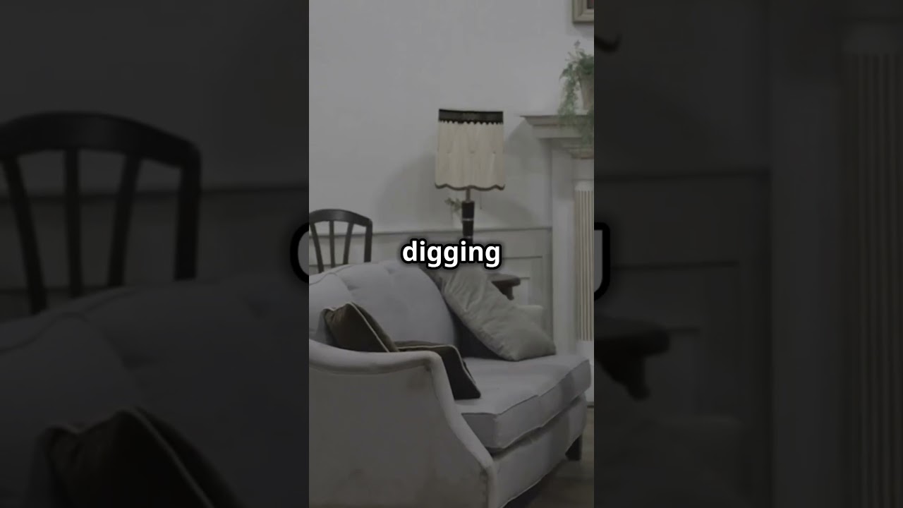 Trump Agrees to FBI Interview! 