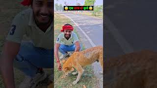 funny videos 😂 ll Bhola Sultanpuriya ll #comedy #funny #bholacomedy #fun #dogs #viralvideo #reels