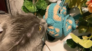 видео: Knitting. The toy картинка: Knitting. The toy