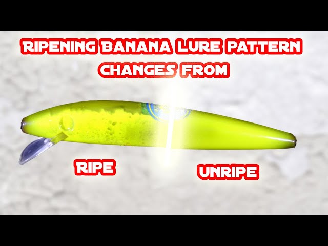 blanco river fishing lures WLD (White Label Diver) – Reef Candy Lures How To Rig Blue Main Fish Color:Atlantic Navy Folk/Rock Crowned with a Colorado