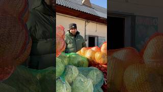 ❤️Купили капусту на зиму🥬 Цены на рынке«Луч» в Красноярске