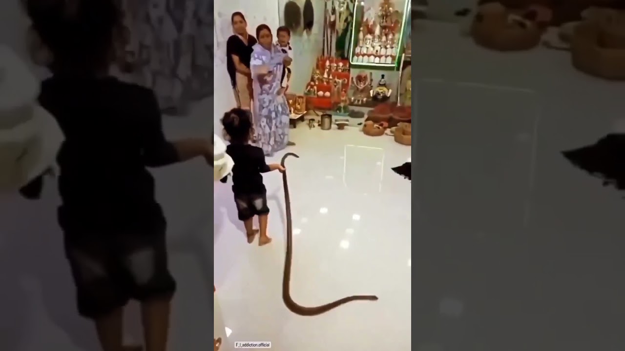 A child holding a Snake 😱😵
