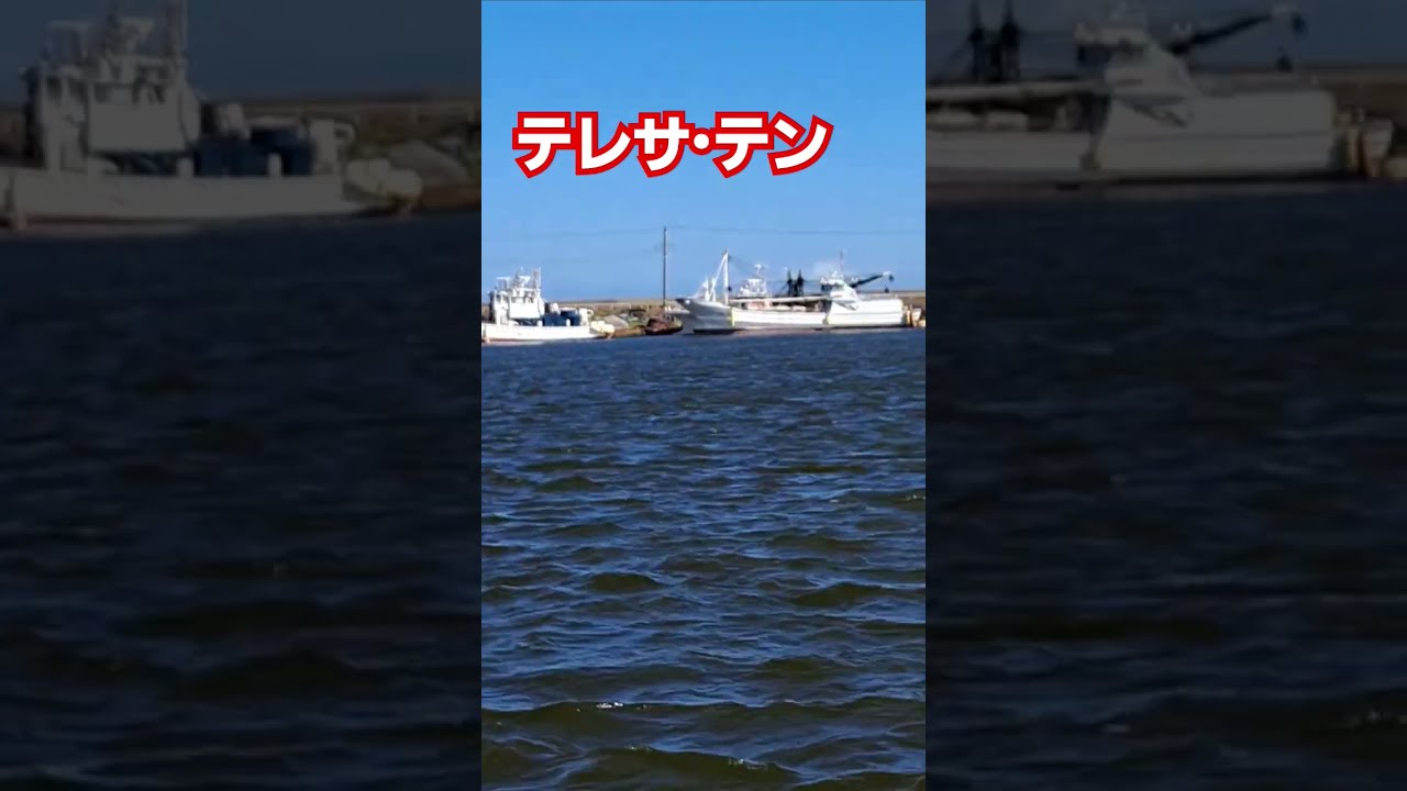 テレサ・テン別れの予感#テレサテン #懐かしい曲 #shorts