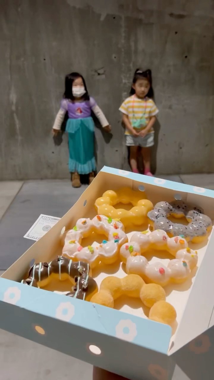$100 or Mochi Donuts?