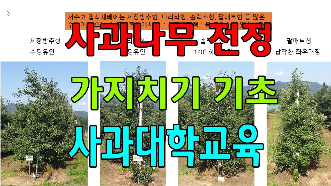 사과재배기술 기초 사과원 조성방법 사과밭 만들기 사과농사 기초 사과대학교육 - Youtube