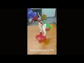 Unstoppable Bird without Drinking Water - Science Trick -