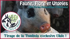 Tirage de la Tombola Exclusive Ulule ! Faune, Flore et Utopies
