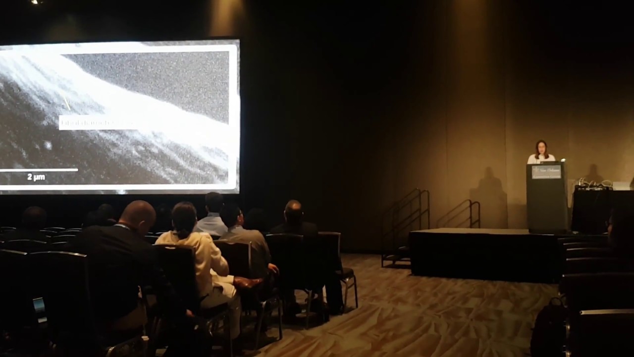 Future of Biophysics talk - Irina Iachina