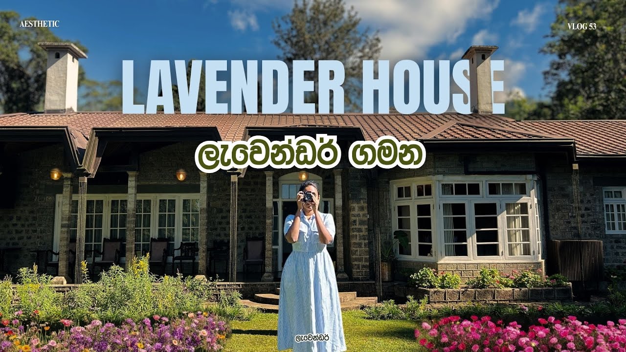 Lavender House එකේ රවුමක් යන්න එන්න💜 l Lavender House Tour l Cozy Aesthetic Vlog 💜