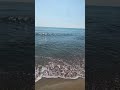 Затока море звуки моря