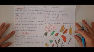 MEZHEPLER TARİHİ 2 (CEBRİYYE-KADERİYYE-EŞARİYYE-MATURİDİYYE) MEZHEPLER TARİHİ 2 (CEBRİYYE-KADERİYYE-EŞARİYYE-MATURİDİYYE)