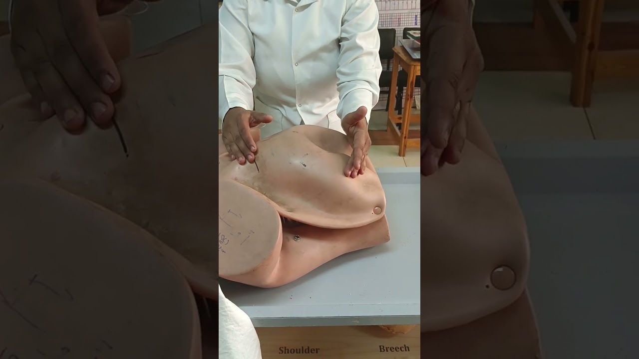 فحص البطن اثناء الحمل