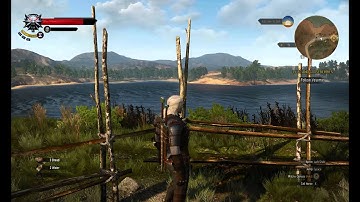 Witcher 3 Camera/Mouse stuttering