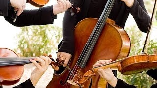 "Falling Slowly" from Once | String Quartet