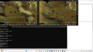 OSRS Bot Script Written in 50 Lines of Python! Will Work Forever UnNukable No Bans. #shorts #gaming