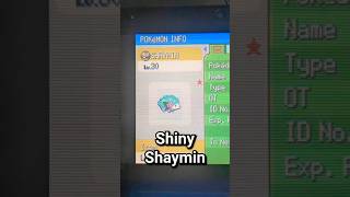 I Found This Shiny Shaymin Legitimately