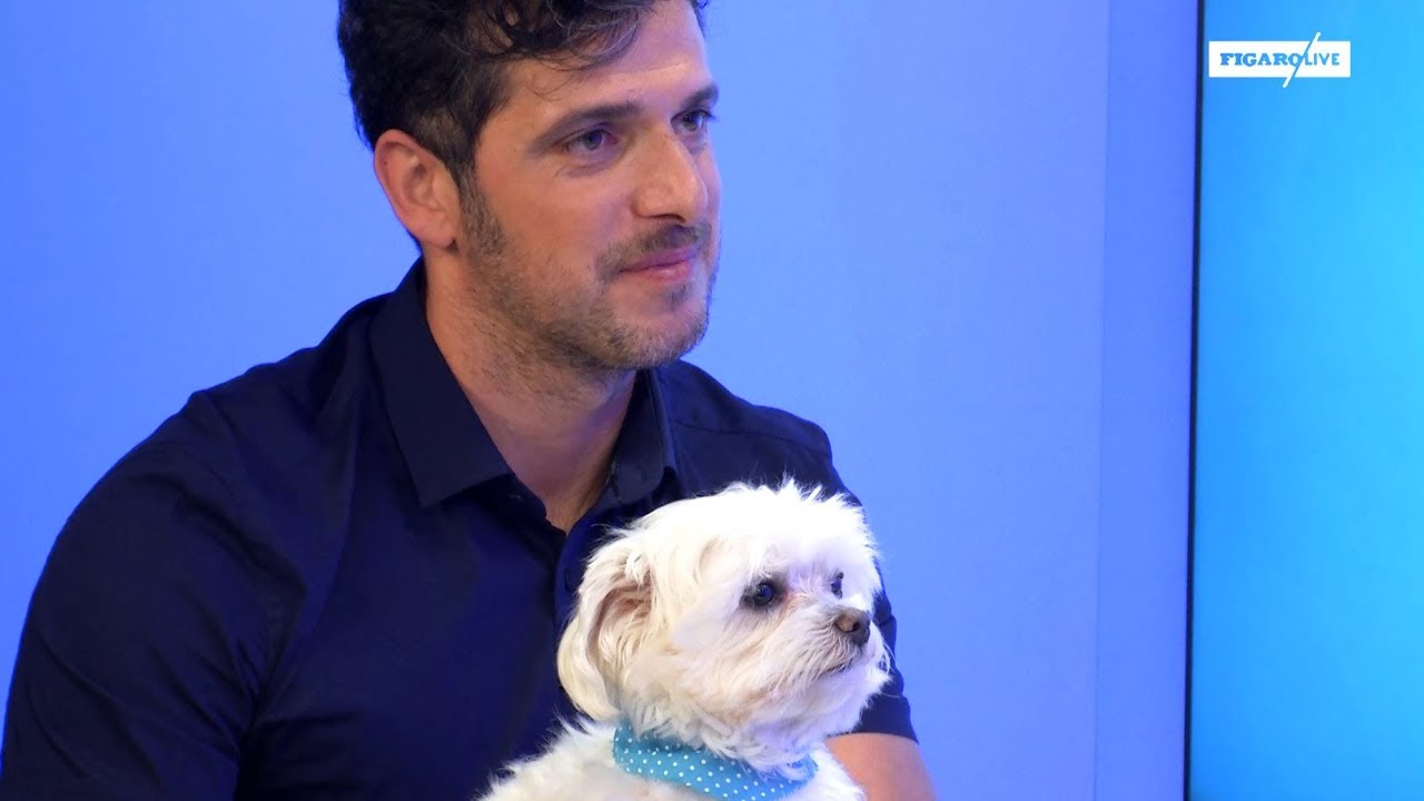 Zoothérapie : quand les animaux soignent les souffrances psychologiques