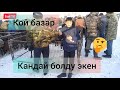 Куршаб кой базары 🐑! Койлор аз чыктыбы? 😲😱