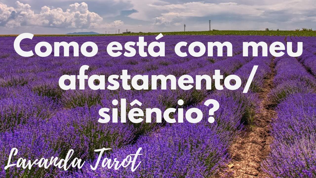 #tarot Como está com o seu afastamento/ silêncio?