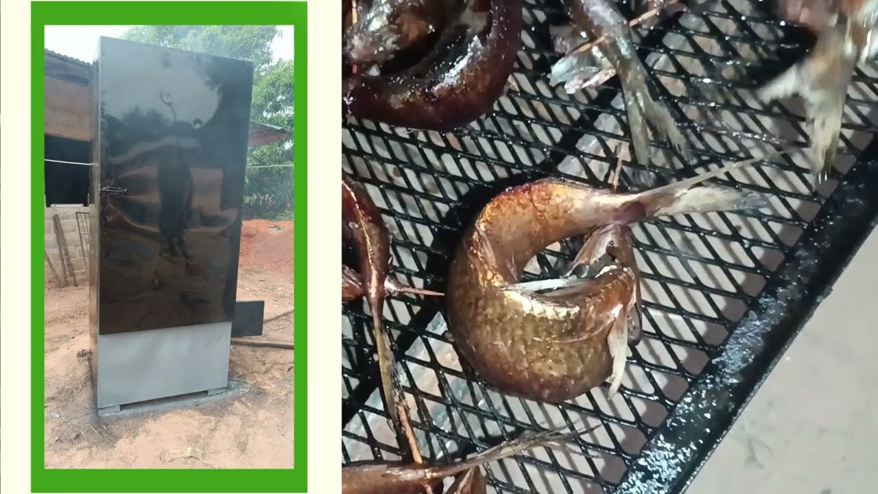 Comment fumer 150kg de poissons en 1h ?