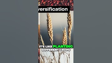 Unlock Multiple Revenue Streams: The Secret Garden of Financial Stability