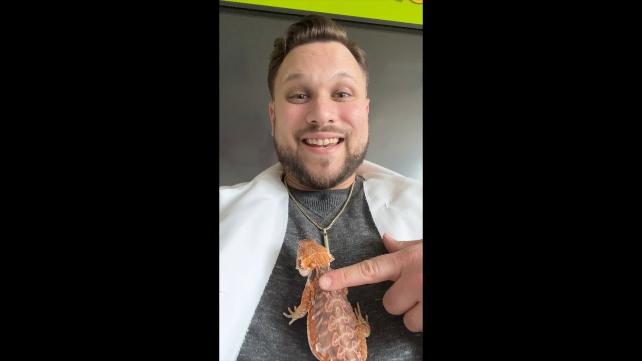 Come Meet The Best Class Pet In The World YouTube come-meet-the-best-class-pet-in-the-world-youtube