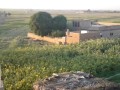 صور من بلدي