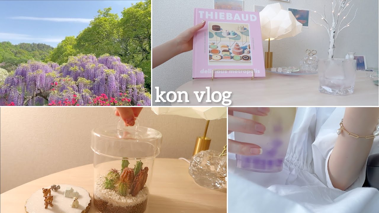 ［vlog］藤の花を見に行った日.藤サイダーの味.おすすめの洋書.サボテンテラリウムでミニチュアサバンナを作る.ミニ家庭菜園に挑戦