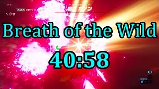 Breath of the Wild Any% Speedrun in 40:58 (No Amiibo)