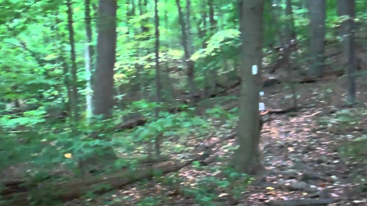 Appalachian Trail, Day Hike Northern VA 4-7