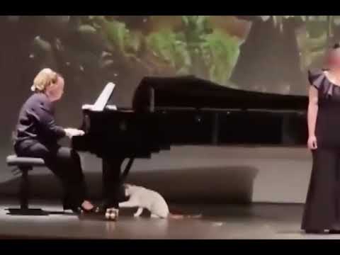 15 de diciembre de 2022