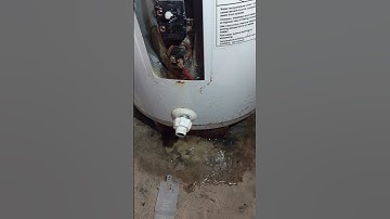 Leaking water heater.