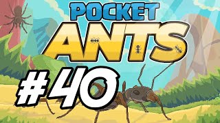 Pocket Ants - 40 - "Testing the Fire Ants Nest" screenshot 4