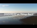 Sandpipers on Clatsop Beach