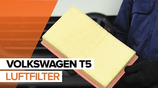 Sådan udskifter du luftfilter på VOLKSWAGEN T5 GUIDE | AUTODOC