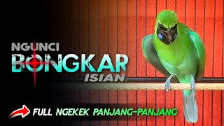 Download lagu 🔴NGUNCI BONGKAR ISIAN‼️CUCAK IJO GACOR JAMTROK FULL NGEKEK PANJANG-PANJANG