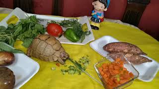 طعام السلاحف أجمل معلومات عن تربية السلاحف  المصري واليوناني والسلوكاتا food my turtle