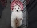 당신은 지금 천사를 보고 있습니다  #short