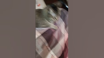 day two of making ugly transitions until 150 subs