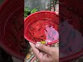 Keo chống thấm trong suốt đa năng.