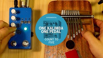 #OneKalimbaOnePedal. Montreal Assembly COUNT TO FIVE