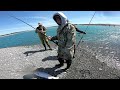 The salmon fishing fever 2022 silver for sao southside rakaia