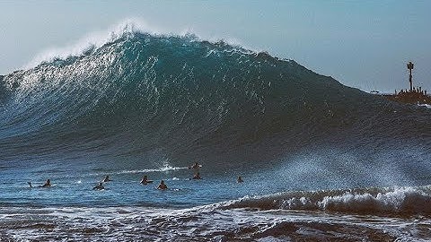 The Wedge Bruce Brown Films 1966