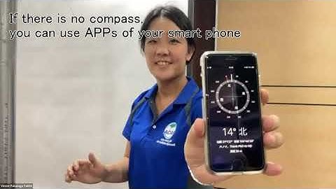 Demonstration of the Operation of a Low-Cost Sensor (LCS) for Air Quality Monitoring