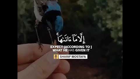 سورة الطلاق || لا يكلف الله نفسا الا ما آتاها / القارئ شريف مصطفى ||✨.
